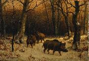 Wild Boars in the Snow